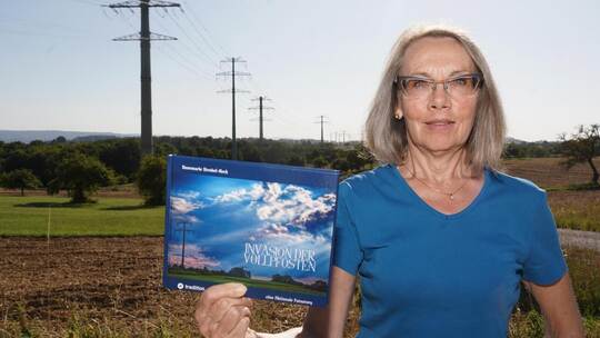 Außerhalb von Kieselbronn stehen zahlreiche neue Vollwandmasten. Die Fotografin Rosemarie Strobel-Heck hat ihnen ein ganzes Foto
