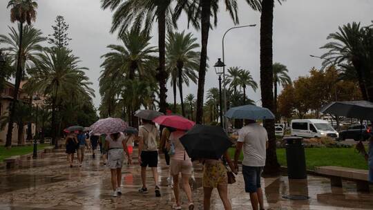 Wetter auf Mallorca Wetter auf Mallorca