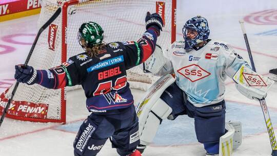 Eisbären Berlin - Dresdner Eislöwen