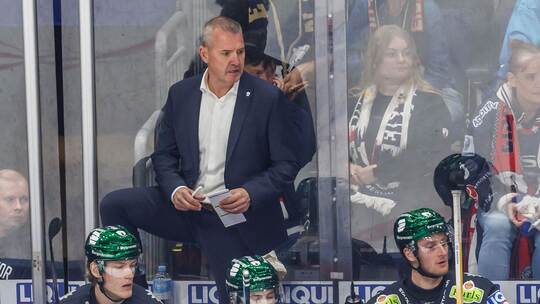 Eisbären Berlin - Dresdner Eislöwen