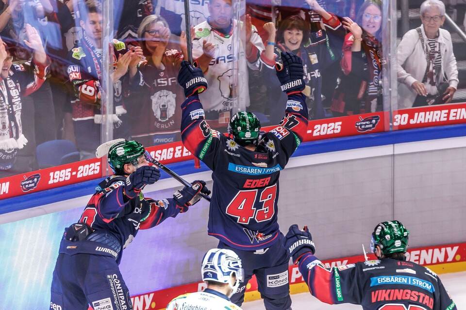 Eisbären Berlin - Dresdner Eislöwen
