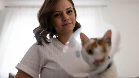 Katze Maja