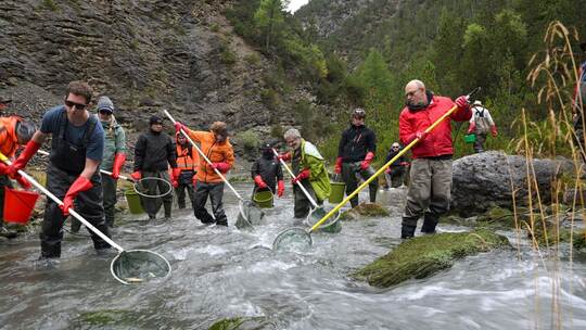 12.000 Fische werden umgesiedelt 12.000 Fische werden umgesiedelt