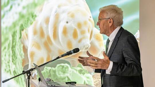 Vorstellung einer neuen Bärtierchen-Art