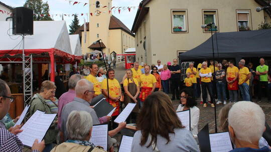 Nach der Eröffnung durch den Gesangverein sorgte das Organisationsteam um Ulrich Haag (in gelben Shirts von links), Florian Beck