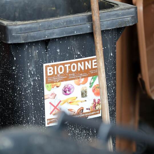 Inhalt von Biotonnen wird untersucht