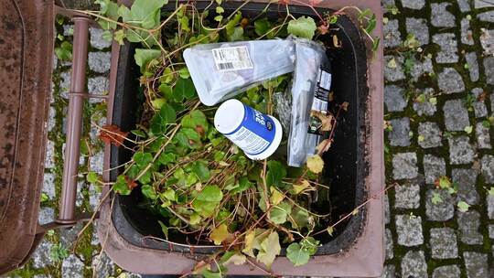 Plastik in Biomülltonne