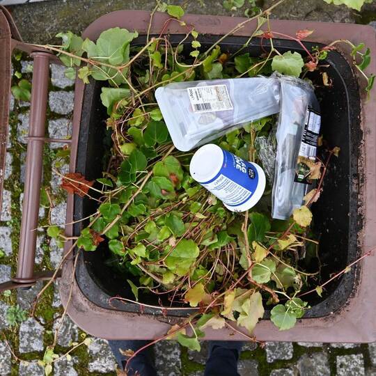 Plastik in Biomülltonne