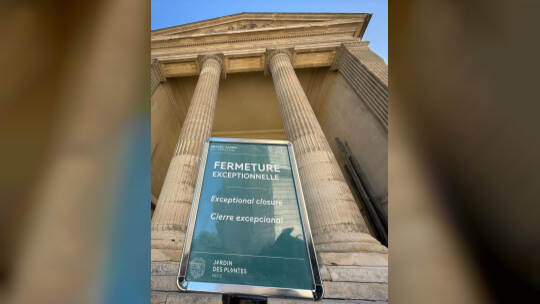 Seltene Goldnuggets im Naturkundemuseum in Paris gestohlen