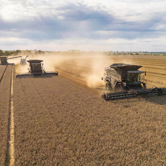 Agravis zieht Bilanz der Ernte 2025: Regional unterschiedlich - teilweise Top-Erträge