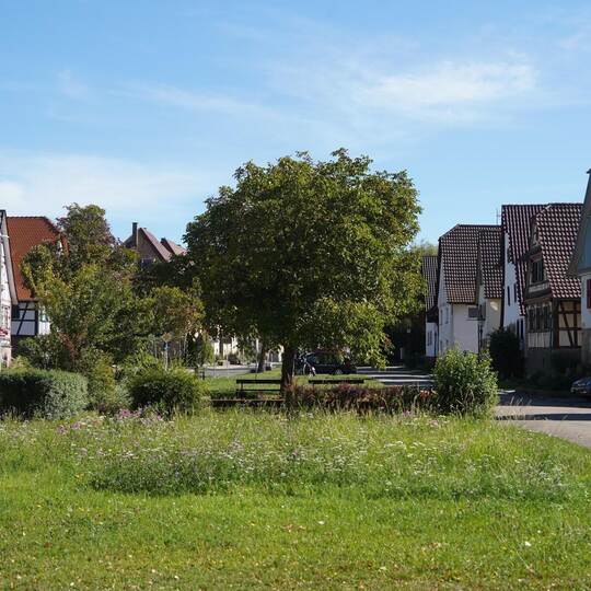 So sieht der Bauschlotter Dorfanger vom Schloss aus gesehen aus. Links verläuft die Landesstraße 611, rechts das kleine Angerstr