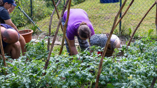 Urban Gardening Altstädter Kirche