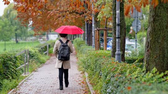 Herbstwetter in Baden-Württemberg Herbstwetter in Baden-Württemberg