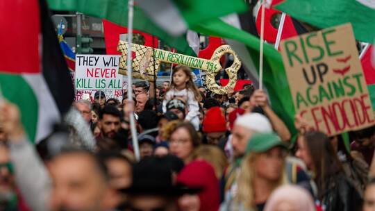 Pro-palästinensische Demonstration in Düsseldorf