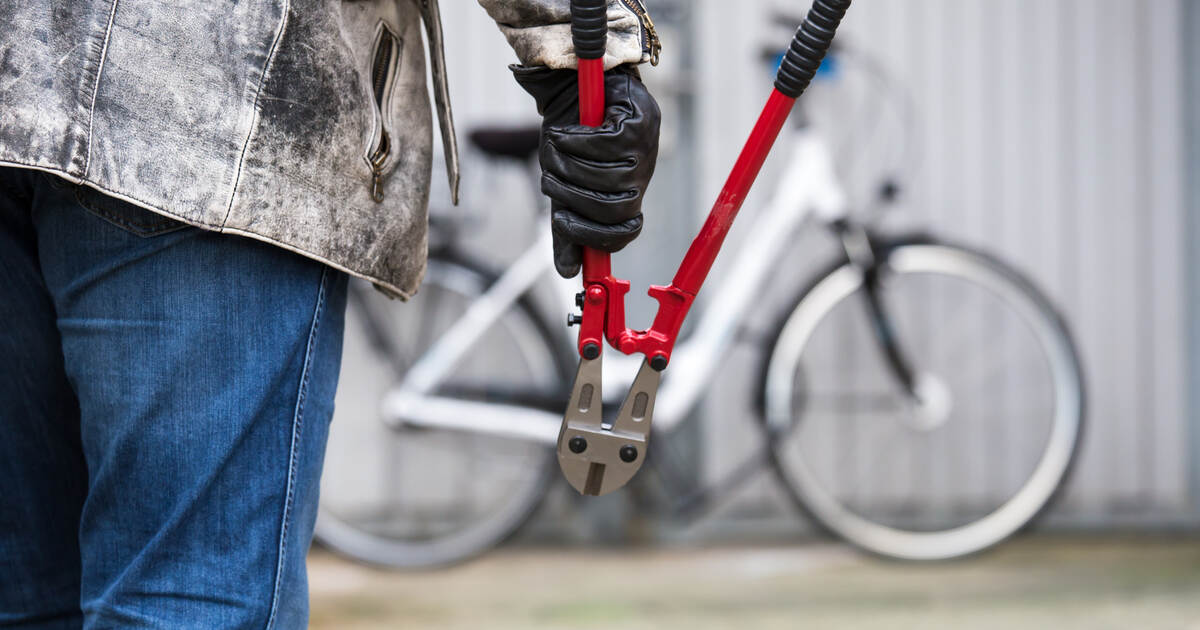 Major property damage: Thieves steal bicycles from garages in Bauschlott