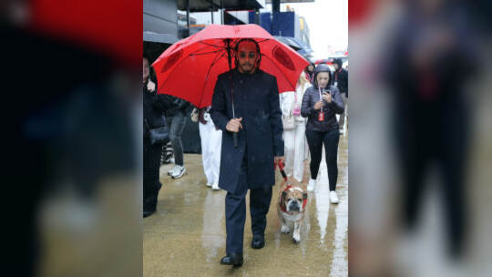 Lewis Hamilton trauert: Hund Roscoe ist tot - Sport weltweit ...