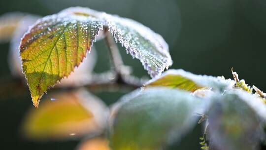 Niedrige Temperaturen - Wetter im Südwesten