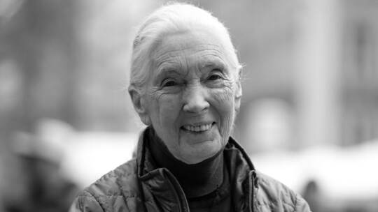 Jane Goodall Jane Goodall