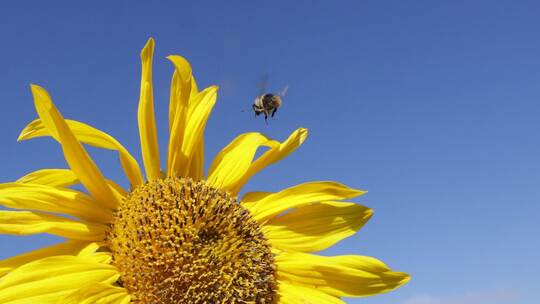 Herbstwetter in Baden-Württemberg