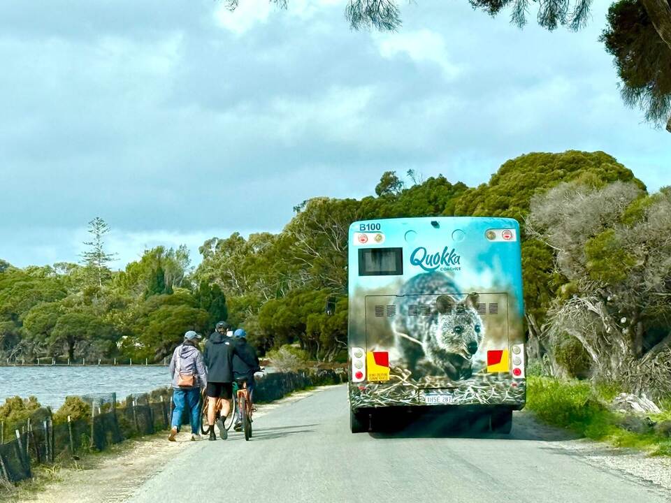 Quokkas auf Rottnest Island