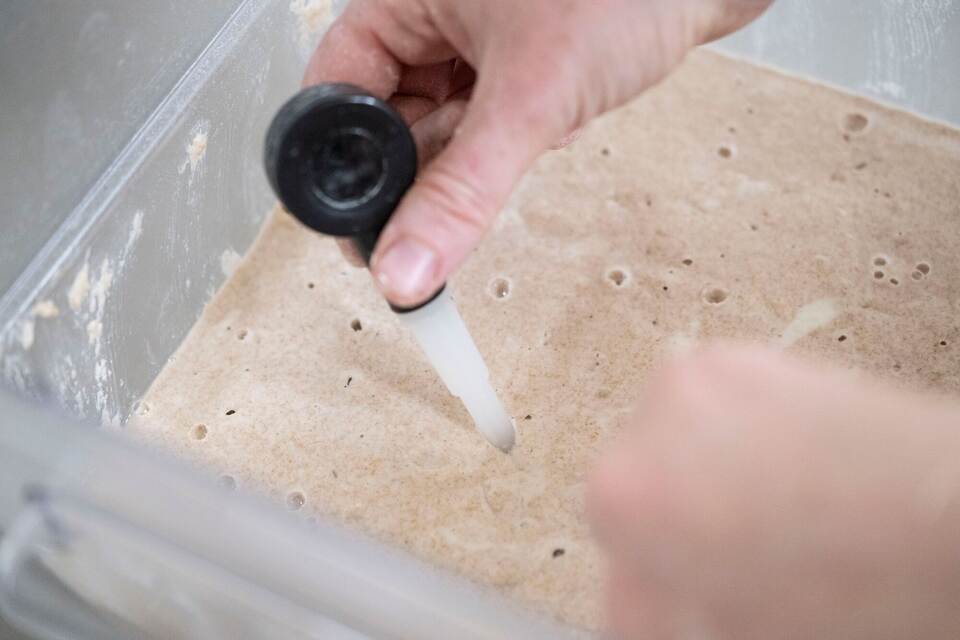 Sauerteigbrot-Bäckerei Sauerteigbrot-Bäckerei