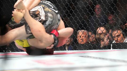 Trump und Musk mit Sohn beim Ultimate Fighting