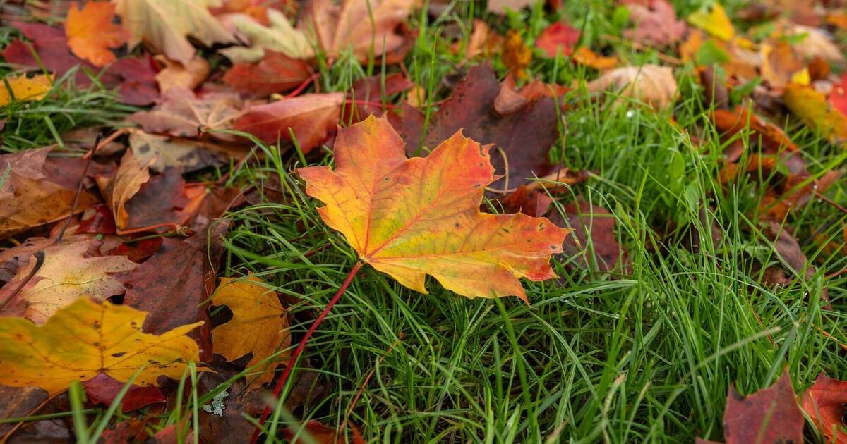 Cloudy and Wet - | Southwest Starts the Week Gray
