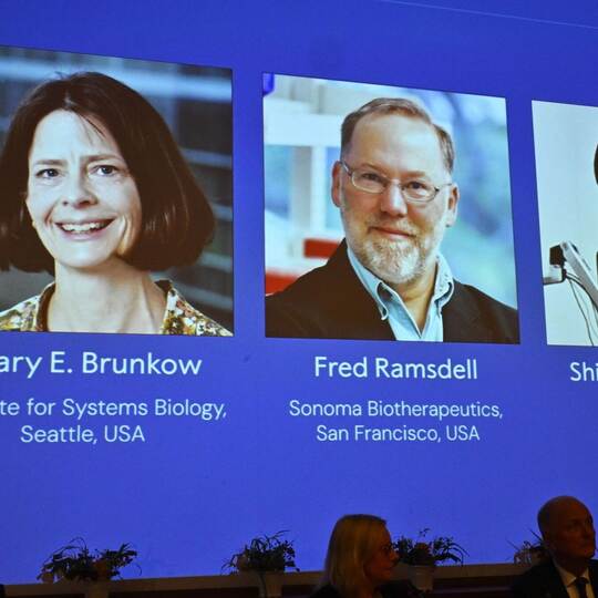 Nobelpreise 2025 - Medizin Nobelpreise 2025 - Medizin