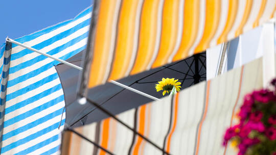 Sonnenschutz bietet künftig in Pforzheim auch Rollladen-Frey an. Das Fellbacher Unternehmen hat die Firma Markisen Urban übernom Sommerwetter - Thüringen