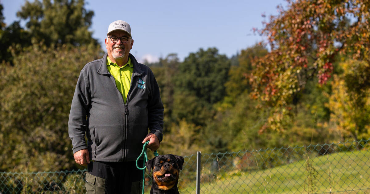 Engelsbrander shines with Rottweiler bitch Frida at breeding show