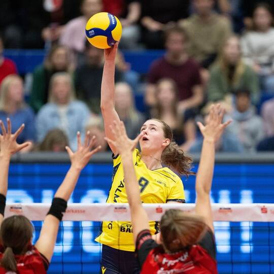 Dresdner SC - SSC Palmberg Schwerin