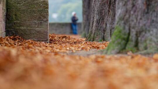Herbst in Baden-Württemberg - Wetter