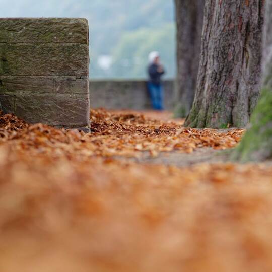 Herbst in Baden-Württemberg - Wetter