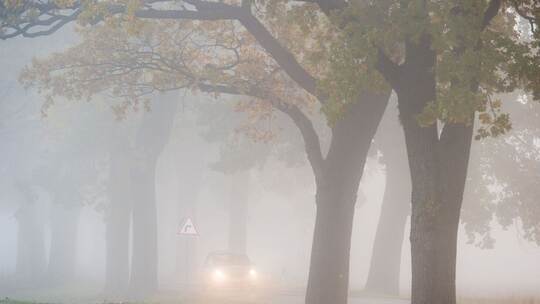 Auto fährt bei Nebel auf einer Landstraße