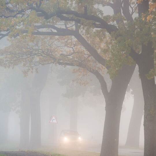 Auto fährt bei Nebel auf einer Landstraße