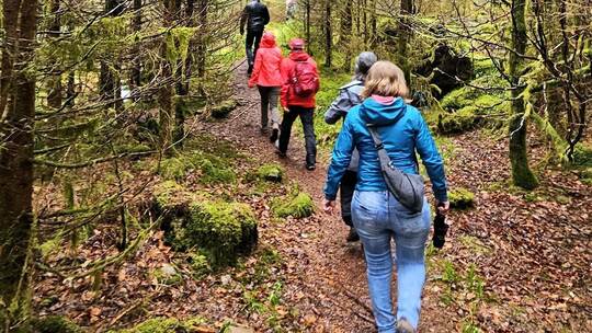 Der Premiumwanderweg Enzquellenpfad liegt nach dem Flächentausch künftig im Gebiet der Murgschifferschaft. Für die Holzhandelsge