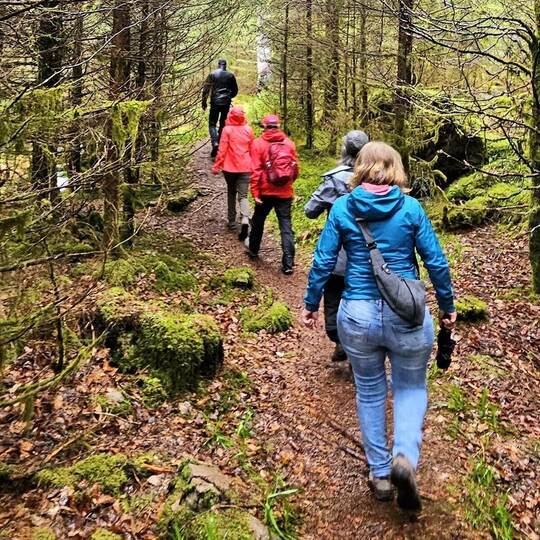 Der Premiumwanderweg Enzquellenpfad liegt nach dem Flächentausch künftig im Gebiet der Murgschifferschaft. Für die Holzhandelsge