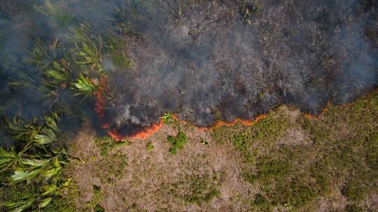 Feuer im Amazonas-Gebiet Feuer im Amazonas-Gebiet