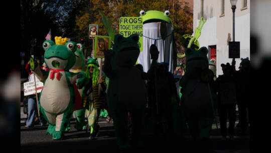 "No Kings"-Demonstrationen - Portland