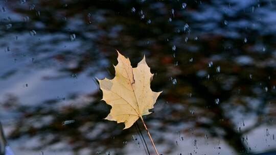 Herbstwetter Herbstwetter
