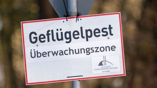 Vogelgrippe Vogelgrippe