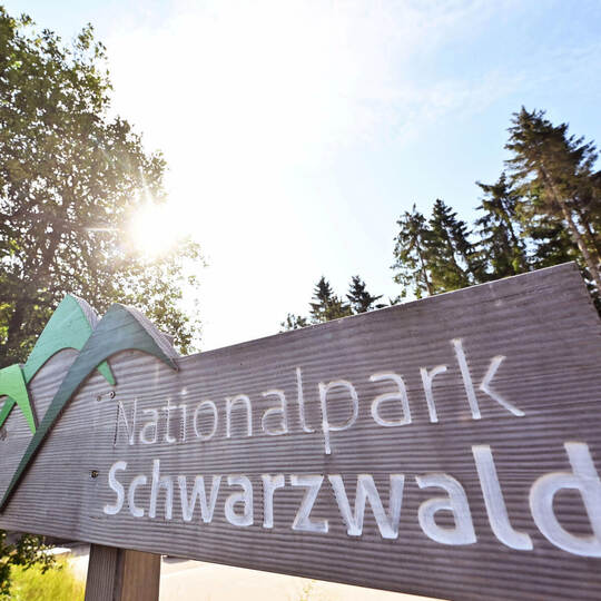 Aus den beiden Teilen des Nationalparks soll ein zusammenhängendes Schutzgebiet werden. Dafür ist aber der Flächentausch nötig. Nationalpark Schwarzwald