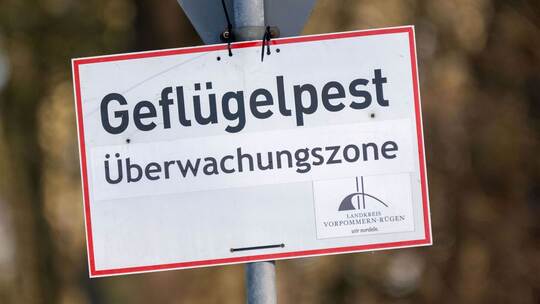 Vogelgrippe Vogelgrippe