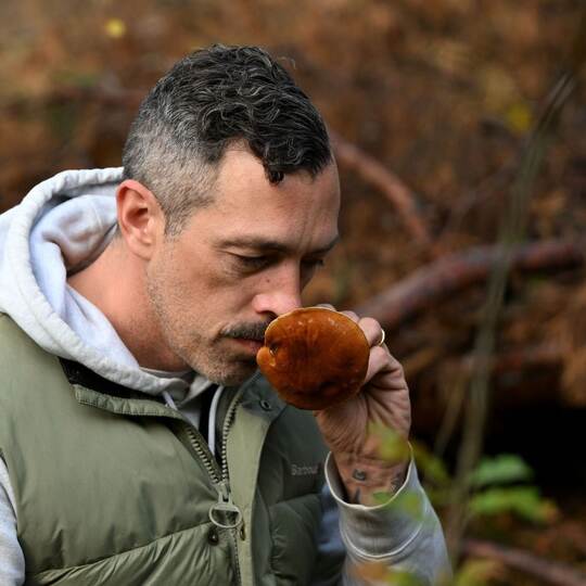 Mit einem Pilz-Influencer in den Pilzen Mit einem Pilz-Influencer in den Pilzen