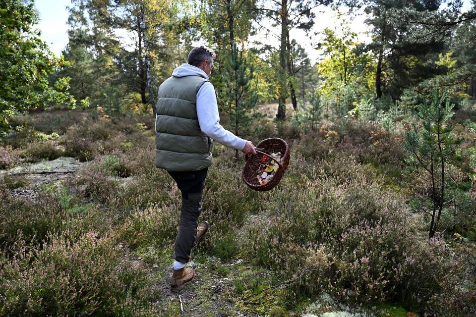Mit einem Pilz-Influencer in den Pilzen Mit einem Pilz-Influencer in den Pilzen