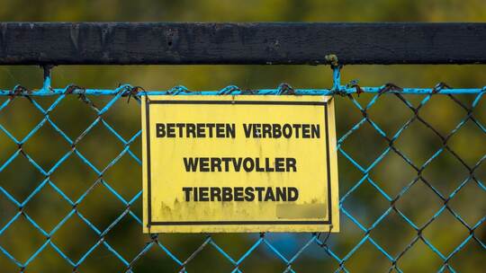 Vogelgrippe - Neuhardenberg Vogelgrippe - Neuhardenberg