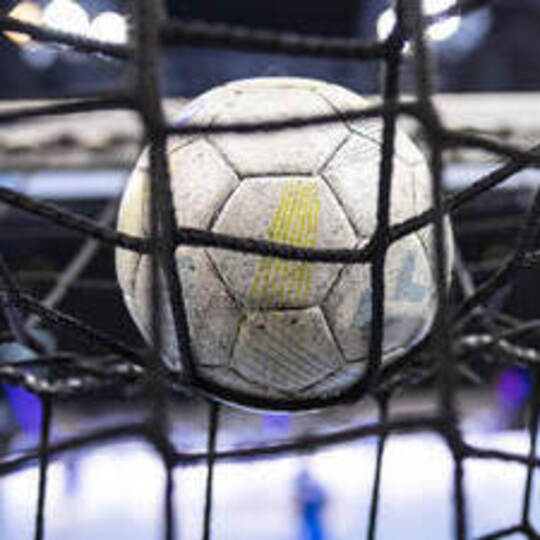 Handball-Bundesliga