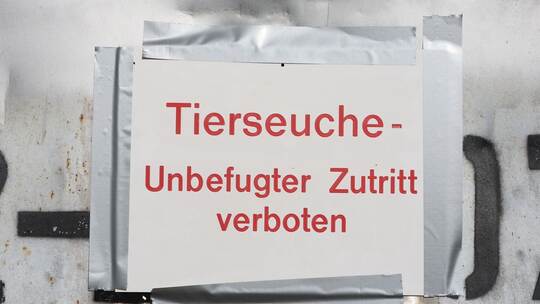 Vogelgrippe ausgebrochen