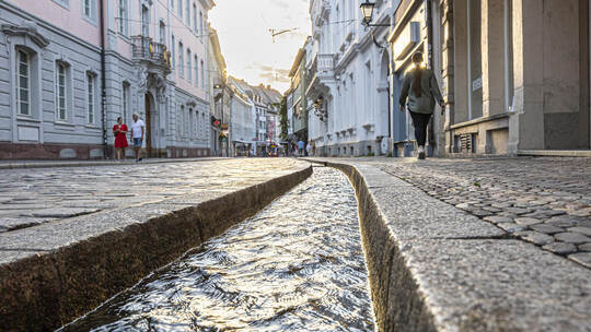Freiburg im Frühjahr: Schlemmen und Schlendern bevor es warm wird