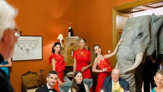 Die Leicht-Gäste staunten nicht schlecht, als ein mächtiger Elefant die eleganten Säle von Schloss Proschwitz betrat.